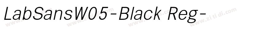 LabSansW05-Black Reg字体转换 LabSansW05-Black Reg字体转换